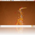 Náhled Ubuntu download